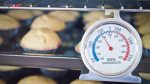 دماسنج فر مدل Oven کد T1