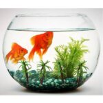 ابزار تزیین کیک بهگز مدل نخل مجموعه 3 عددی - تصویر 9
