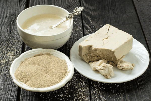 نقش حیاتی خمیرمایه در صنعت غذایی