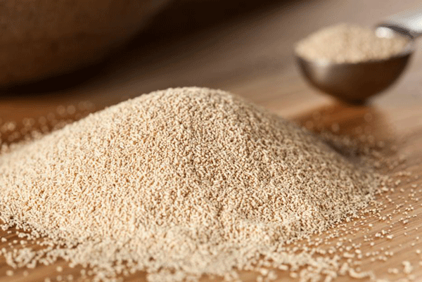 نقش حیاتی خمیر مایه در صنعت غذایی