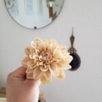 قالب فوندانت بهگز مدل گل کوکب مجموعه2عددی