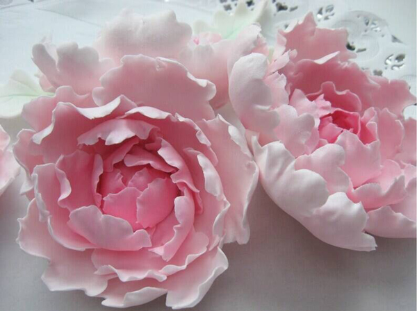 گل های شکری