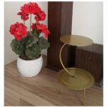 استراکچر کیک به گز مدل نیم دایره معلق