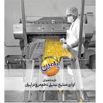 پودر سفیده تخم مرغ پامین