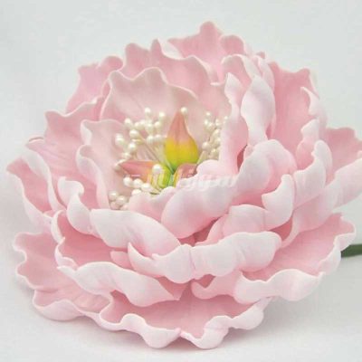 ست ابزار کاتر و وینر گلسازی مدل گل پیونی مجموعه 7 عددی