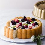 قالب پلاستیکی ژله مدل شارلوت مناسب برای ژله های تزئینی و زیبا