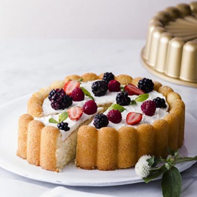 قالب پلاستیکی ژله مدل شارلوت مناسب برای ژله های تزئینی و زیبا