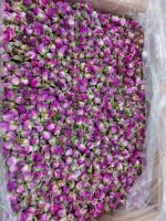 غنچه گل محمدی خشک عمده