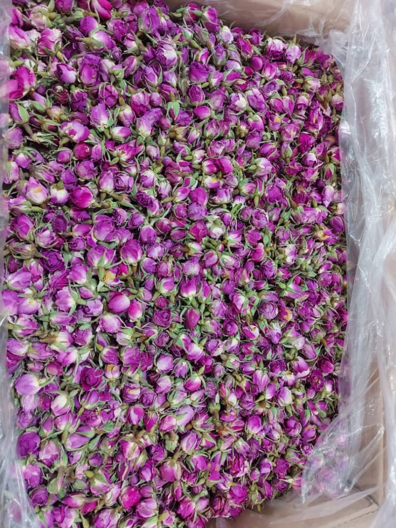 غنچه گل محمدی خشک عمده