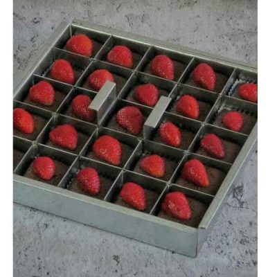 کاربرد سینی اسلایسی مقسم مربع گالوانیزه مدل براونی شکلاتی تزیین شده با توت فرنگی